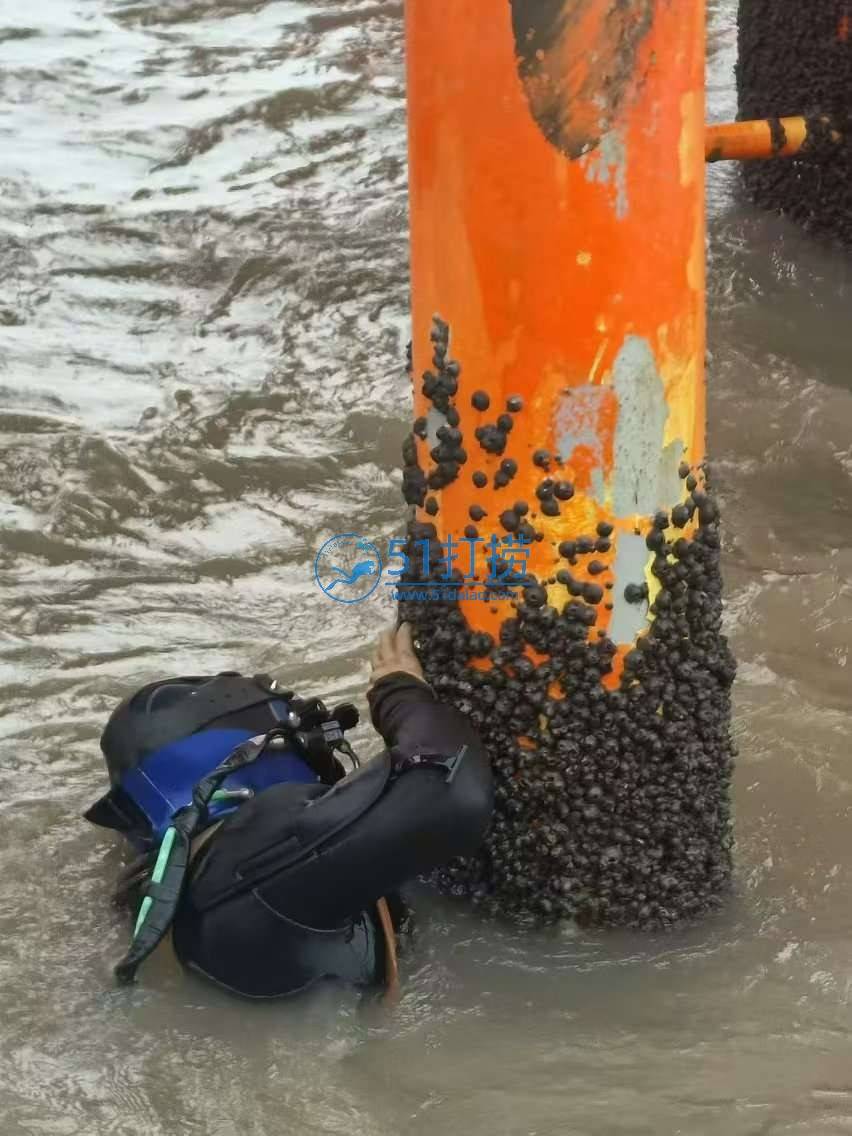 仙桃打捞手机电话_仙桃水下打捞公司联系号码 仙桃打捞手机电话_仙桃水下打捞公司联系号码